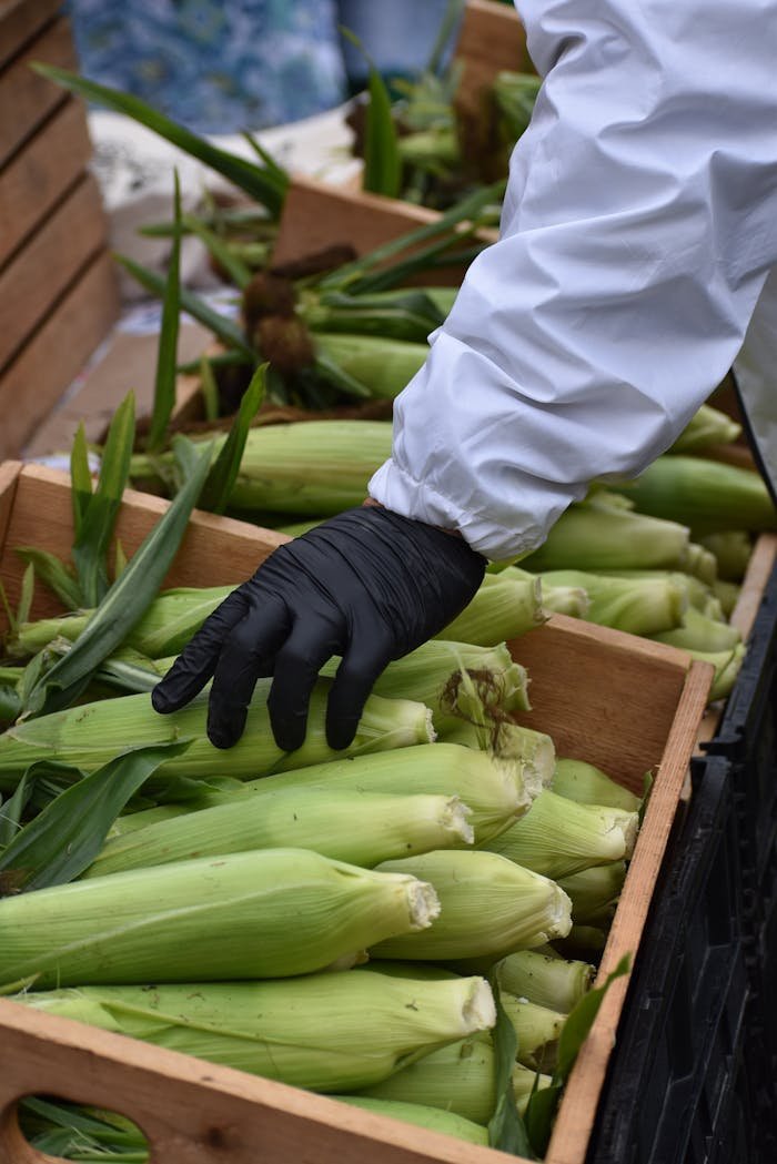 Hand in Glove Holding Corn in Box on Street Market